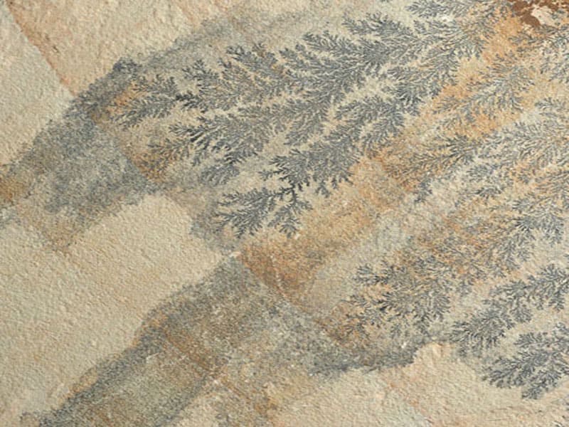 Fossil Mint sandstone paving tiles